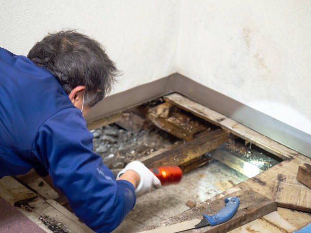 Best Water Damage Restoration  in Fontana, CA