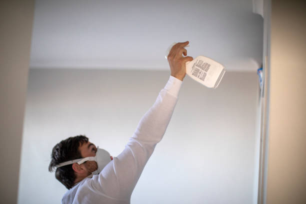 Best Affordable Mold Removal  in Fontana, CA
