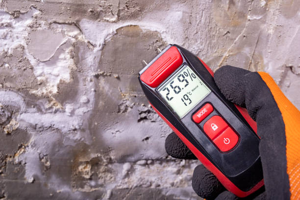 Best Mold Testing and Removal  in Fontana, CA