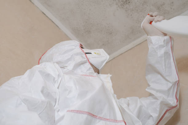 Best Mold Cleaning Services  in Fontana, CA