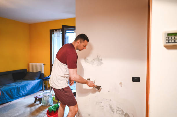 Best Certified Mold Removal  in Fontana, CA